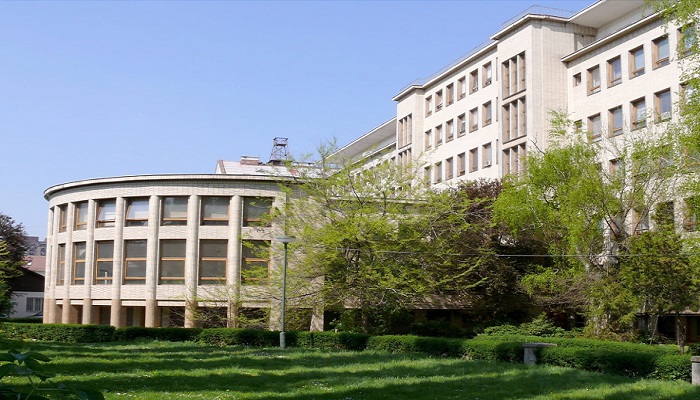 R-C (1).jpg