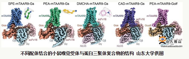 微信截图_20230906152344.png