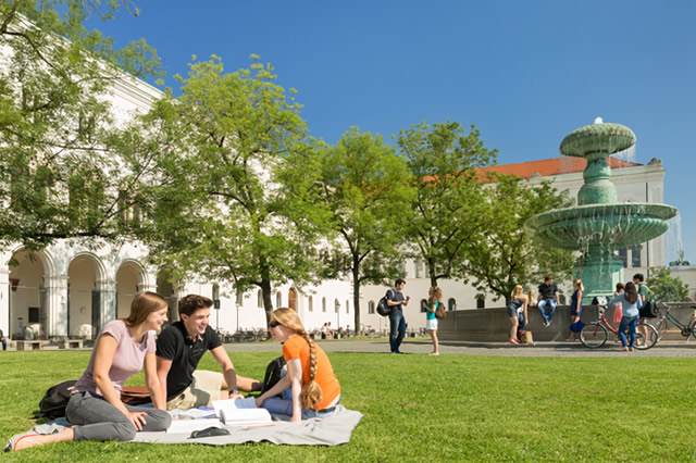 1764165354520642.jpg 1764165354520642.jpg